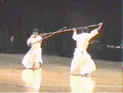 Paris Taikai (Yari)